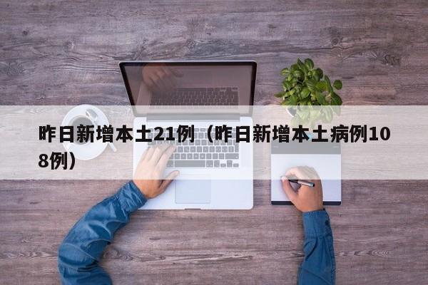 掀背车型（掀背式的车）