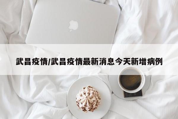 速腾遥控器匹配方法（大众速腾遥控匹配方法）