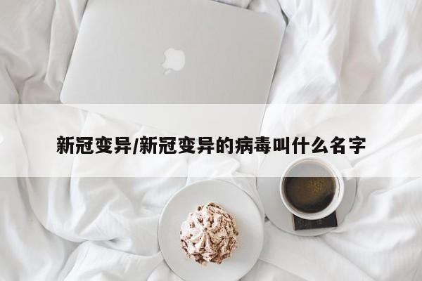 31省区市新增本土确诊28例（31省区市新增28例本土24例）